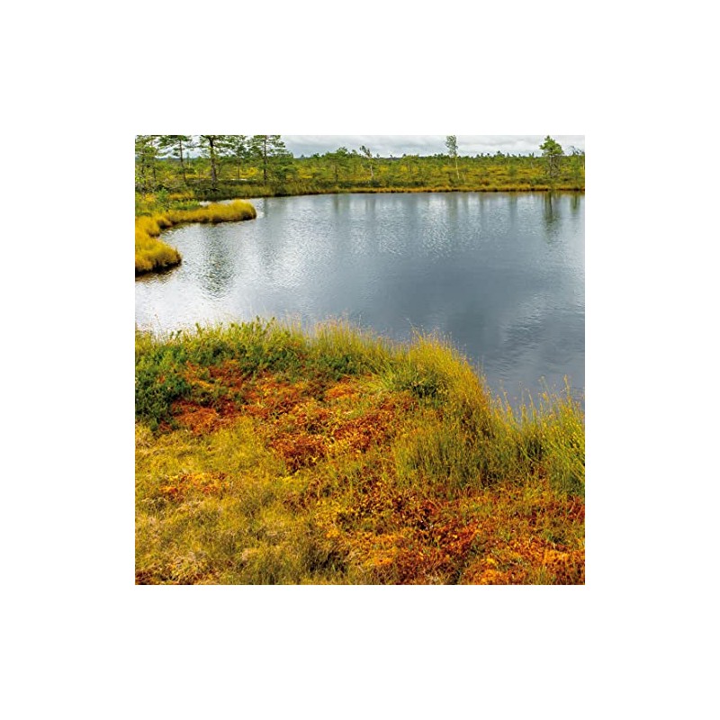 Haro Active Moor Cream 100 ml