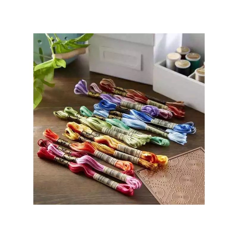 DMC Variegated Floss Bundle 18Pk, SCS-157