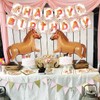 Birthday Decoration Set-ps-2
