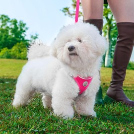 Hipubby Dog Harness and Leash Set, No Pull Soft Mesh Pet Harness for Small Medium Dogs, Cats - Step in Adjustable Reflective Puppy Harness with Buckle and Double D-Rings - Red, S