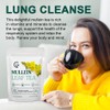 Mullein Leaf Tea Bags - Lungs Cleanse and Respiratory Support,