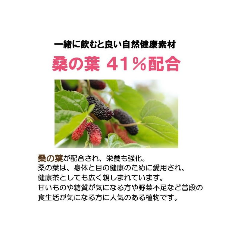 健康プラス チャーガ丸 粒タイプ 韓国 サプリメント カバノアナタケ 桑の葉配合 2600粒入り 200g