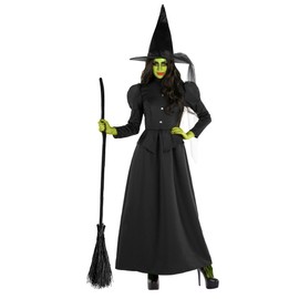 Morph Women's Witch Costumes, Adult Witch Costume, Women's Witch Costume, Women's Witch Costume, Size XL
