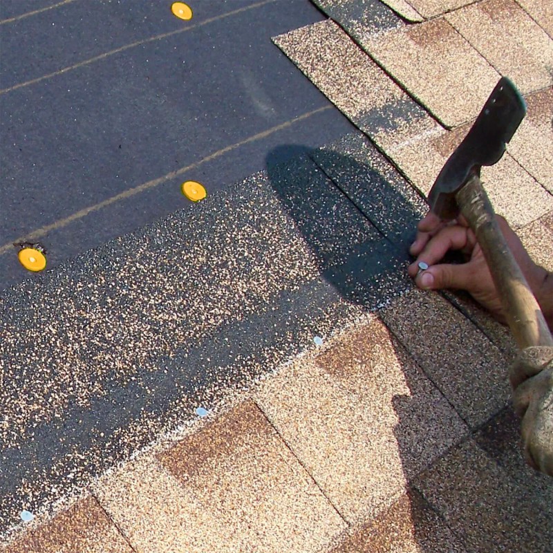 Jake Sales Plastic Cap Ring Shank Roofing and Barrier Nails