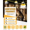 JC-LGL 100FT Construction String Light 130W 16000Lm, 5000K Industrial Grade