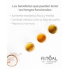 Ritual Gourmet - Té Verde IMMUNE BOOSTER con Hongo Cola