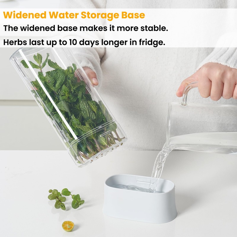 vacane Herb Keeper for Refrigerator, Fresh Herb Saver Herb Storage