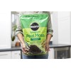 Miracle-Gro Sphagnum Peat Moss, 8 qt.