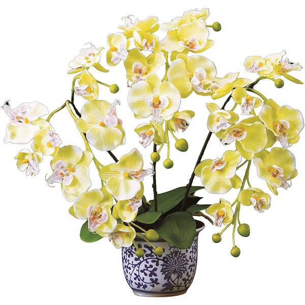 Phalaenopsis (Photocatalyst) in a Porcelain Pot, Yellow Phalaenopsis Orchid, Flowers, Artificial Flowers, Fake Flowers, Photocatalyst, Air Purifier, Deodorizing, Antibacterial, Sterilizing, Interior,