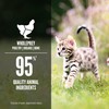 ORIJEN Premium Pate Wet Kitten Cat Food in Bone Broth