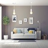 Ahad Trader Ceiling Rose Pendant Bulb Holder Plastic Pendant Size