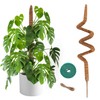 Handmade Coco Coir Moss Pole - 48 Inch Bendable Sticks