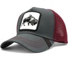 Gorra de Hombre Beisbol Visera Curva Parche Animales Trucker Camionero