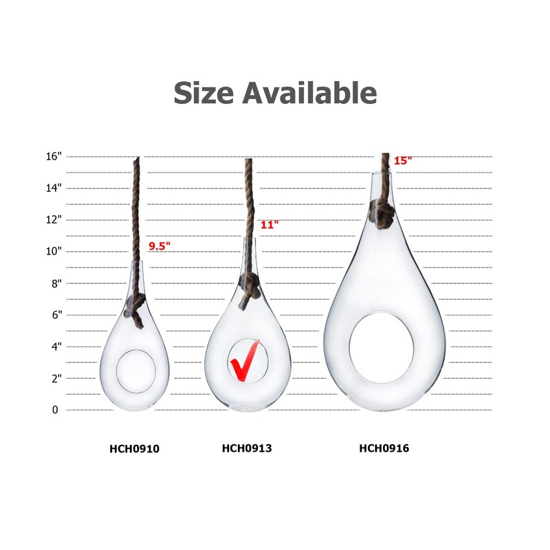 WGV Hanging Planter Terrarium, Width 6", Height 11", DIY Clear