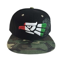aesthetinc Embroidery Patriotic Mexico Flag Design Flat Bill Cap Hat (Black Green Camo)