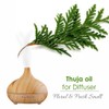 Salvia Thuja (Thuja Orientali) 100% Natural Pure Undiluted Uncut Carrier