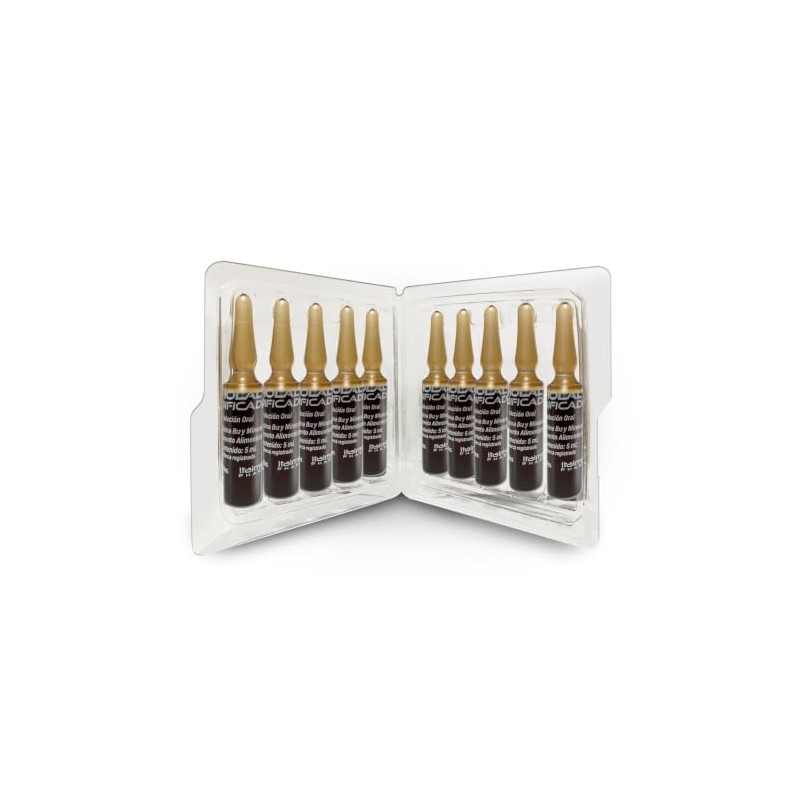 Cholal Modificado Suplemento Alimenticio Vitamina B12 Minerales Complemento Nutricional Caja