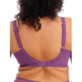 Elomi Women Plus Size Underwire Full Cup Banded Bra, Pansy, 40DD