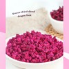 TXDYNLLK Freeze-Dried Diced Dragon Fruit 5.3oz(150g) Single Ingredient, No Added