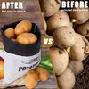 TOGETRUE Potato Onion Storage Bag, Fabric Onion and Potatoes Storage