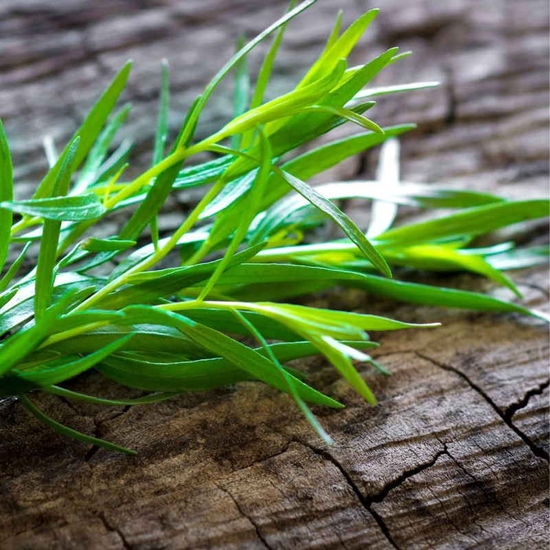 GranAroma Tarragon, Subtle Licorice Flavor, French Cuisine (0.32 Ounce)