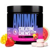 Animal Creatine Chews Tablets - Enhanced Creatine Monohydrate with AstraGin
