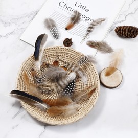 Larryhot Natural Pheasant Craft Feathers - 240 pcs 6 Style Mixed Feathers for Dream Catcher Supplies,Jewelry,Hats and Jewelry Accessories (Natural)