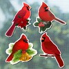 Photect 8 Pcs Cardinal Bird Screen Door Magnets Flexible Decorative