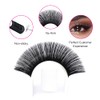 Lash Extension DD Curl Easy Fan Volume Lashes Self Fanning