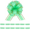 FORBINBO 6 Pieces Rose Pull Bows 6 Inch Gift Wrapping