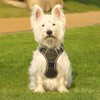 Belababy Large Dog Harness, Anti Pull Dog Harness with Soft