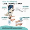 Dog Straw Dog Straw – The Ultimate On-The-Go Water Solution