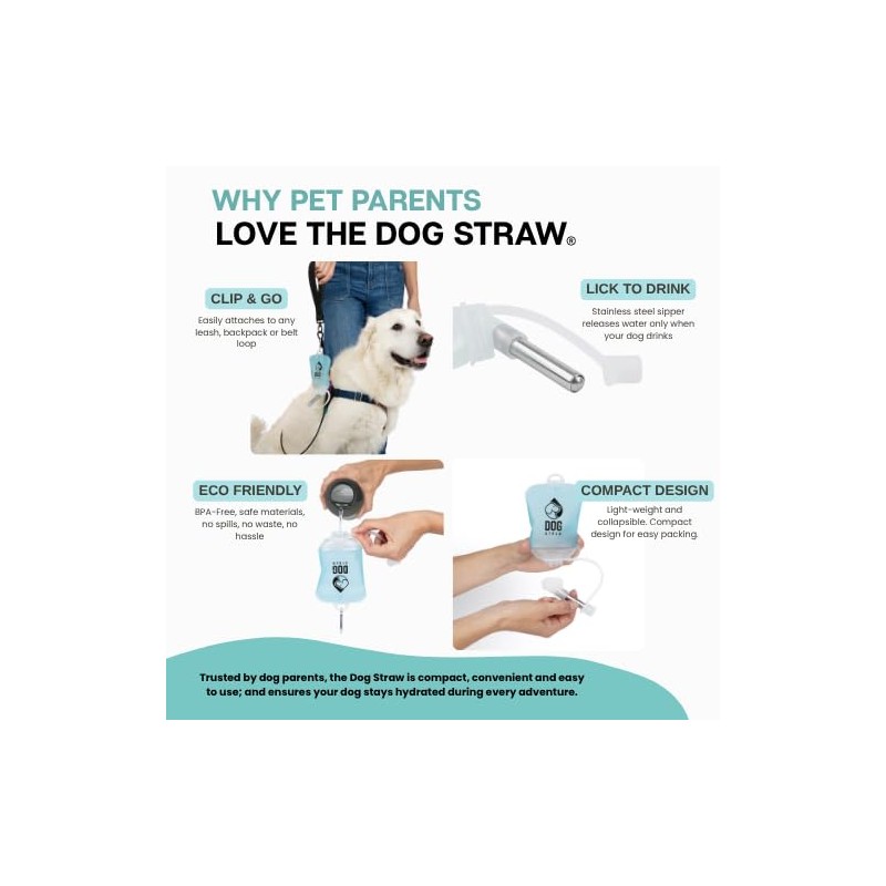 Dog Straw Dog Straw – The Ultimate On-The-Go Water Solution