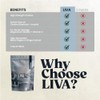 Liva Choline Complex Capsules | Supports Normal Liver Function with