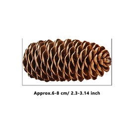 Rcanedny 30 Pieces Large Christmas Snow Pine Cones Natural Pine Cones Natural Pinecones for Christmas Party Ornament DIY Crafts Home Decoration (6-8 cm)