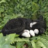 Vivid Arts - Sleeping Cat Black & White - XRL-ZC35-D