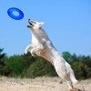 Nerf Dog 10in Enhanced Translucent TPR Tire Flyer - Blue,Medium