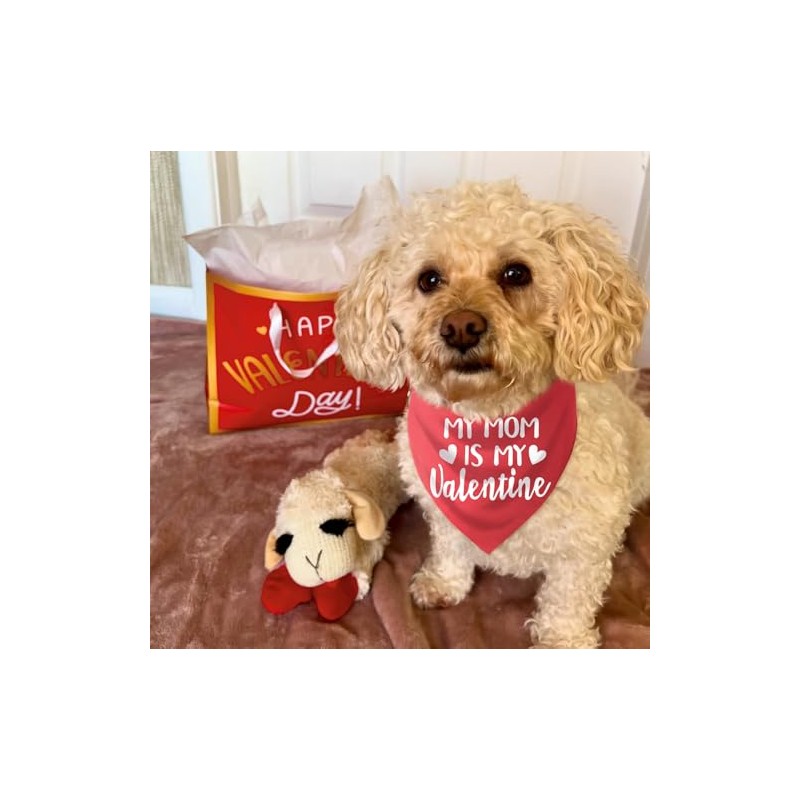 Bandana para perro del día de San Valentín, bufanda roja
