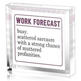 Cool Gifts for Coworkers - Desk Accessories for Women- Funny Cubicle Decorations for Women Desk - Work Office Clear Desk Decor Sign Office Acrylic Desk Decor (4 x 4 Inches)