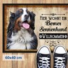 PR Print Royal Pet Doormat with Dog Picture Bernese Mountain
