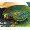 Scott Clark Woolley Pond Turtle Silicone Mold