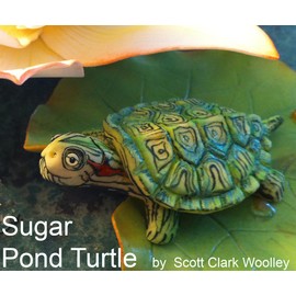 Scott Clark Woolley Pond Turtle Silicone Mold