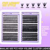Maalaki Wispy Eyelashes Cluster Lashes 30+40+50+60+80+100D DIY Individual Eyelashes 600Pcs