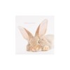 UK Greetings Easter Card for Him/Her/Friend - Cute Rabbit Design