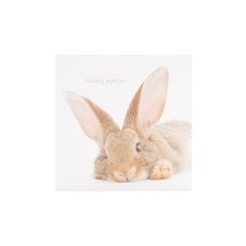 UK Greetings Easter Card for Him/Her/Friend - Cute Rabbit Design