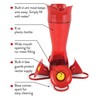 Perky-Pet 403CP Pinch Waist Plastic Hummingbird Feeder, 8-Ounce , Red