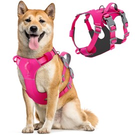 Eyein Dog Harness Large Dog - Lightweight Escape Proof Dog Vest with Padded Lift Handle & 2 Leash Clips, Anti-Pull No-Choke Adjustable Reflective Walking Pet Harness for Small Medium Large Breed, L/XL