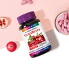Holidays 홀리데이즈 크랜베리 타블렛 90정 1병 (3개월분) Holidays Cranberry Tablet