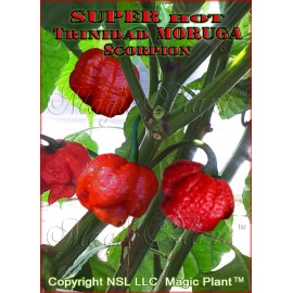 Magic Plant Farms Trinidad Moruga Scorpion Flakes 8oz - Moruga Scorpion Peppers