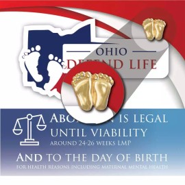 Heritage House '76 Precious Feet, Gold-Colored, Ohio Stats Card Jewelry, Lapel Pin